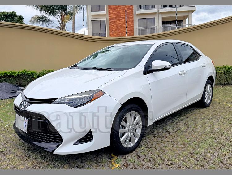 Toyota COROLLA LE 2019